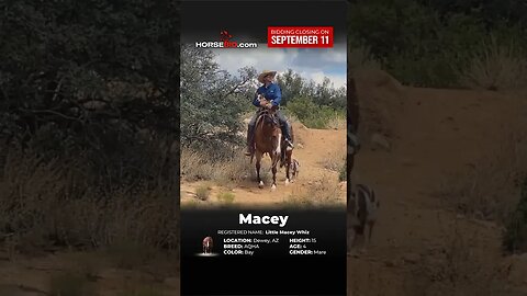 ＭΛＣΞＹ