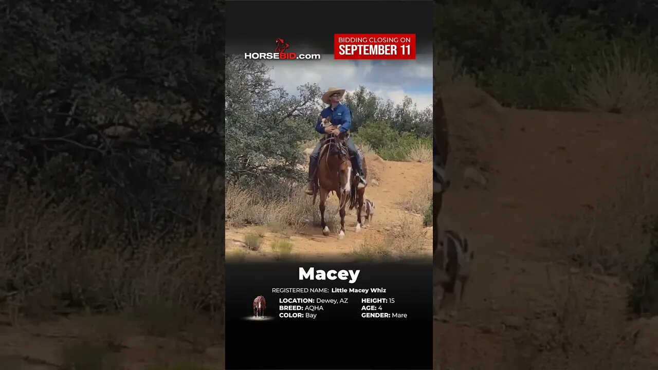 ＭΛＣΞＹ