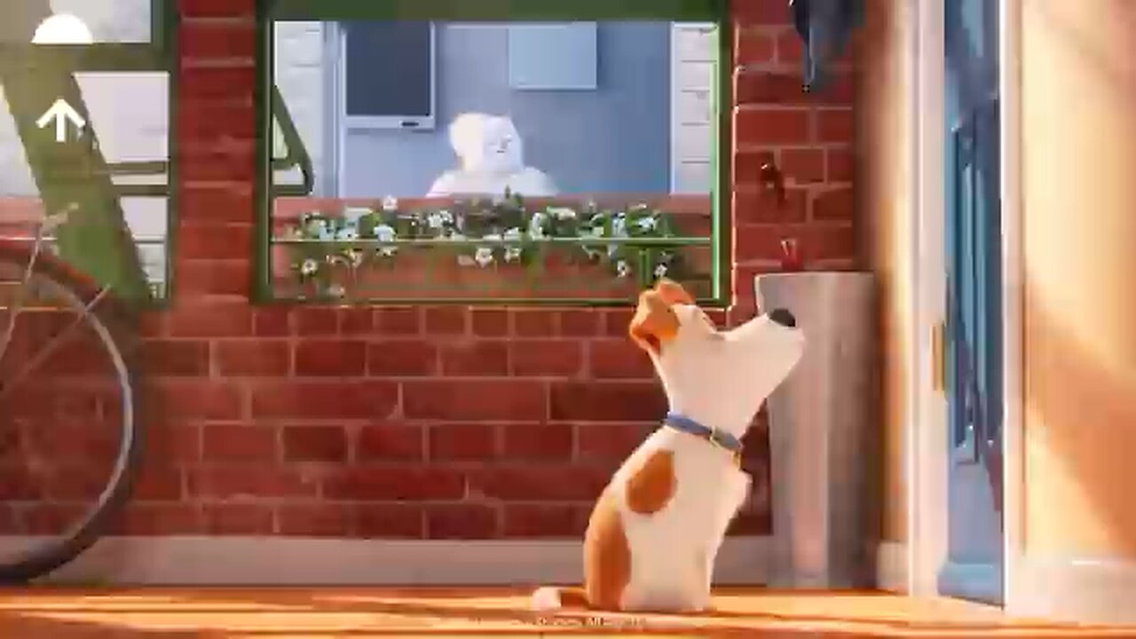 The Secret Life of Pets: What do pets do when we leave? (HD CLIP)