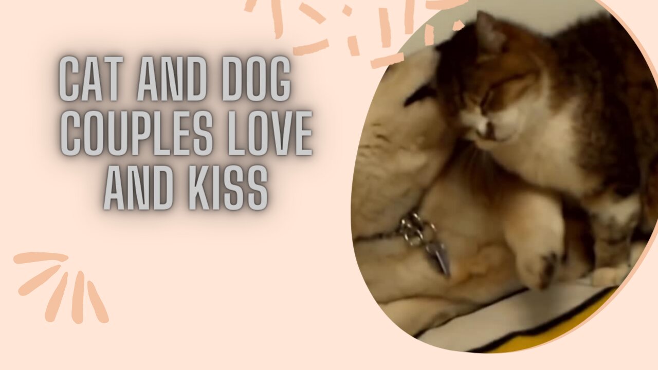 Cat And Dog Couples Love and Kiss together