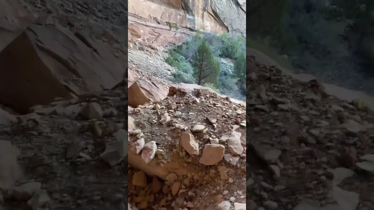 Fishmouth cavern, Butler wash, Utah