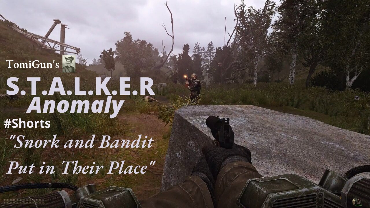 Snork and Bandit Put in Their Place (S.T.A.L.K.E.R Anomaly) #Shorts