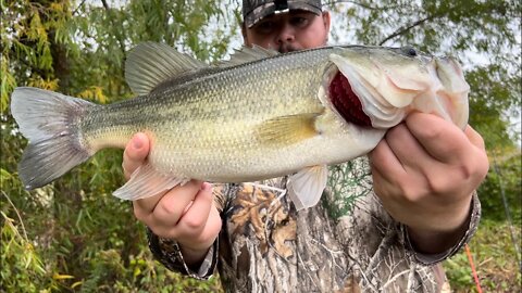 Cloudy Mornings = BIG Bass!