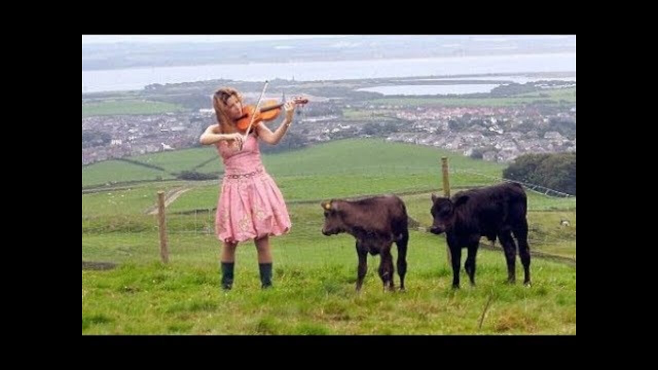 ANIMALS AND THE POWER OF MUSIC TO ENTERTAINMENT