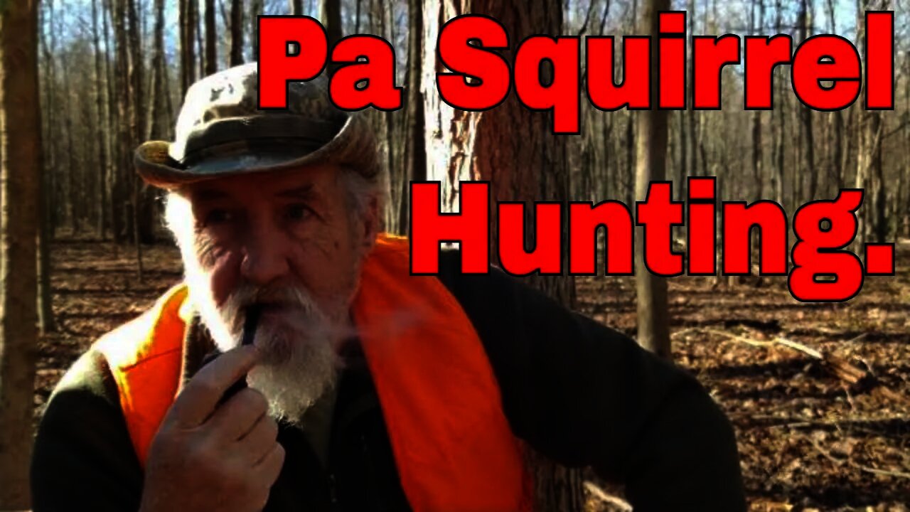 Squirrel Hunting With The CVA 32 Caliber Squirrel. #Muzzleloader​​​​​​​ #CVASquirrel