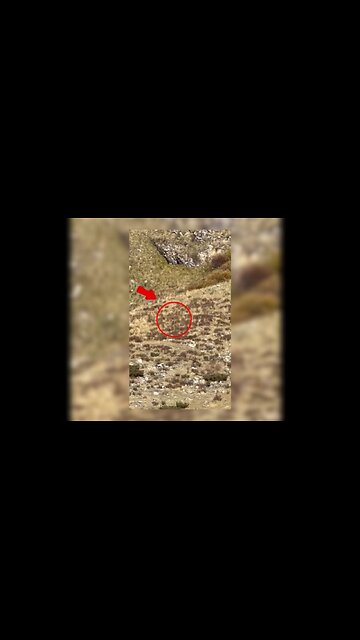 Bigfoot ‘spotted’ in Colorado in broad daylight — and it’s all on camera: ‘We’re convinced