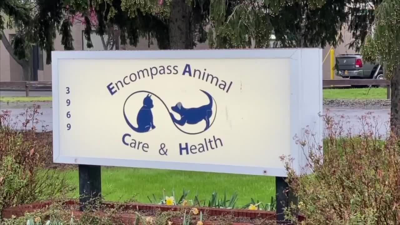 New animal health clinic fills a void in care for rescues