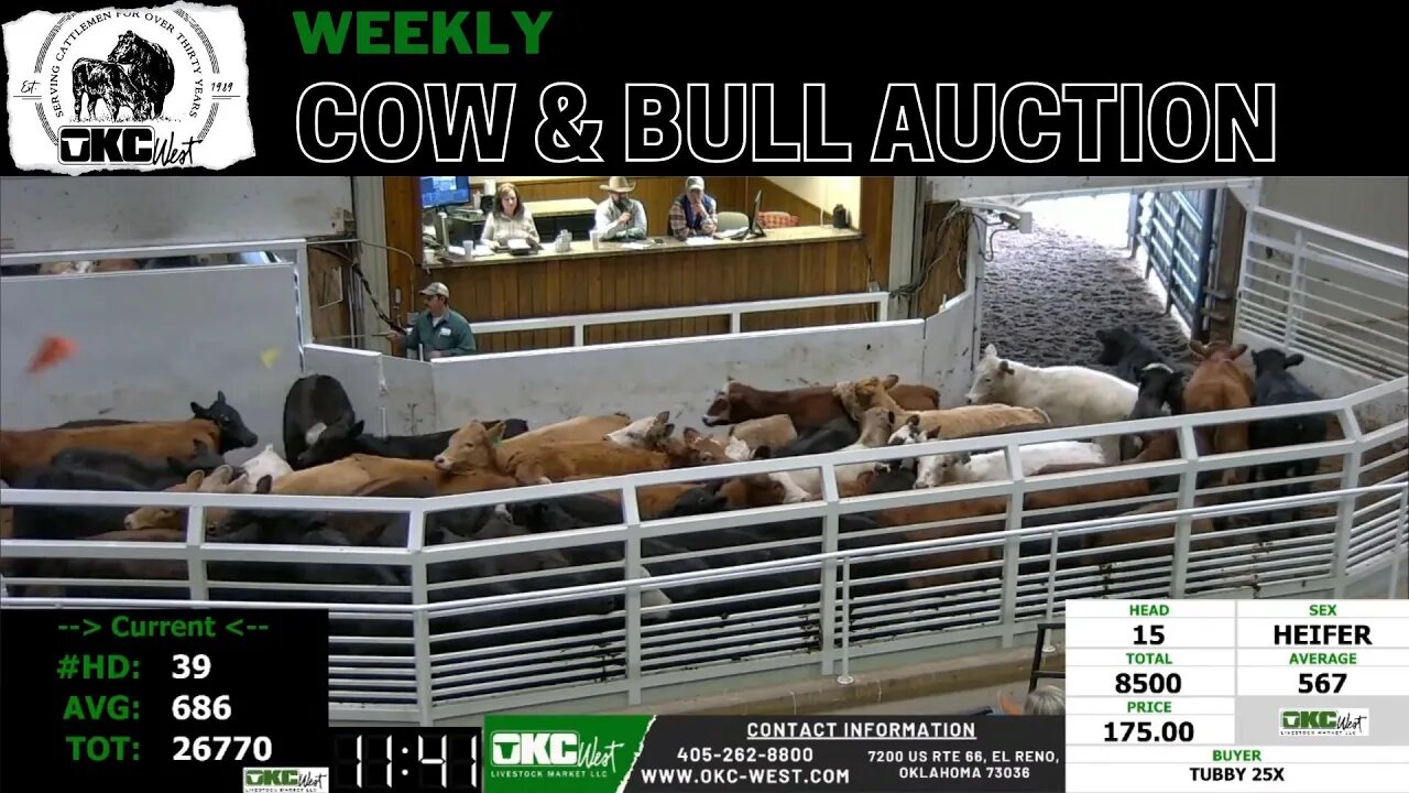 1/16/2023 - OKC West Weekly Cow & Bull Auction