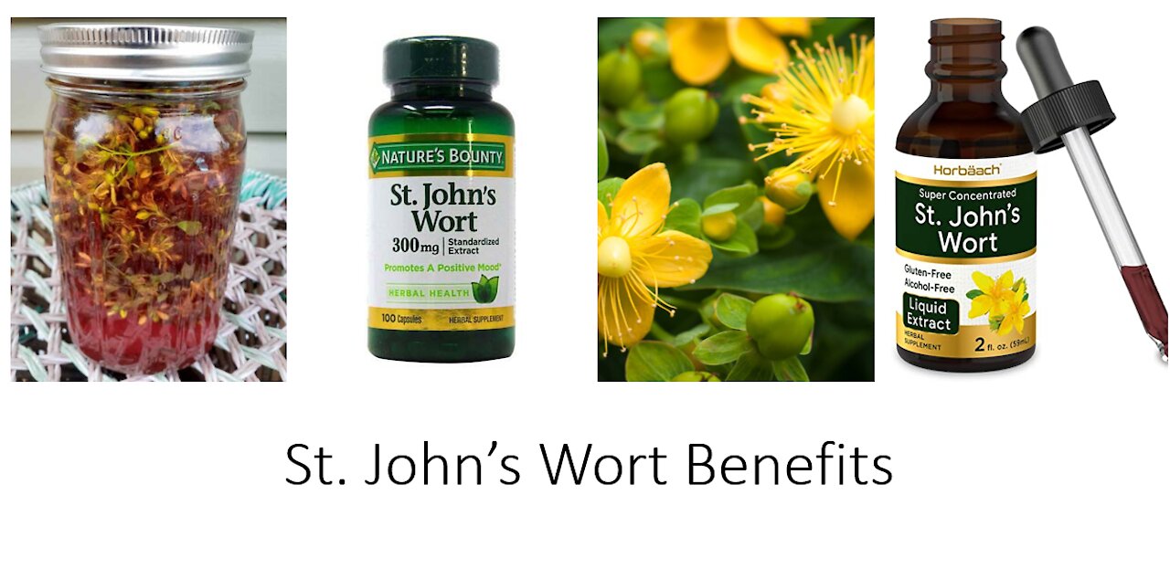 St Johns Wort - Hypericum perforatum Benefits