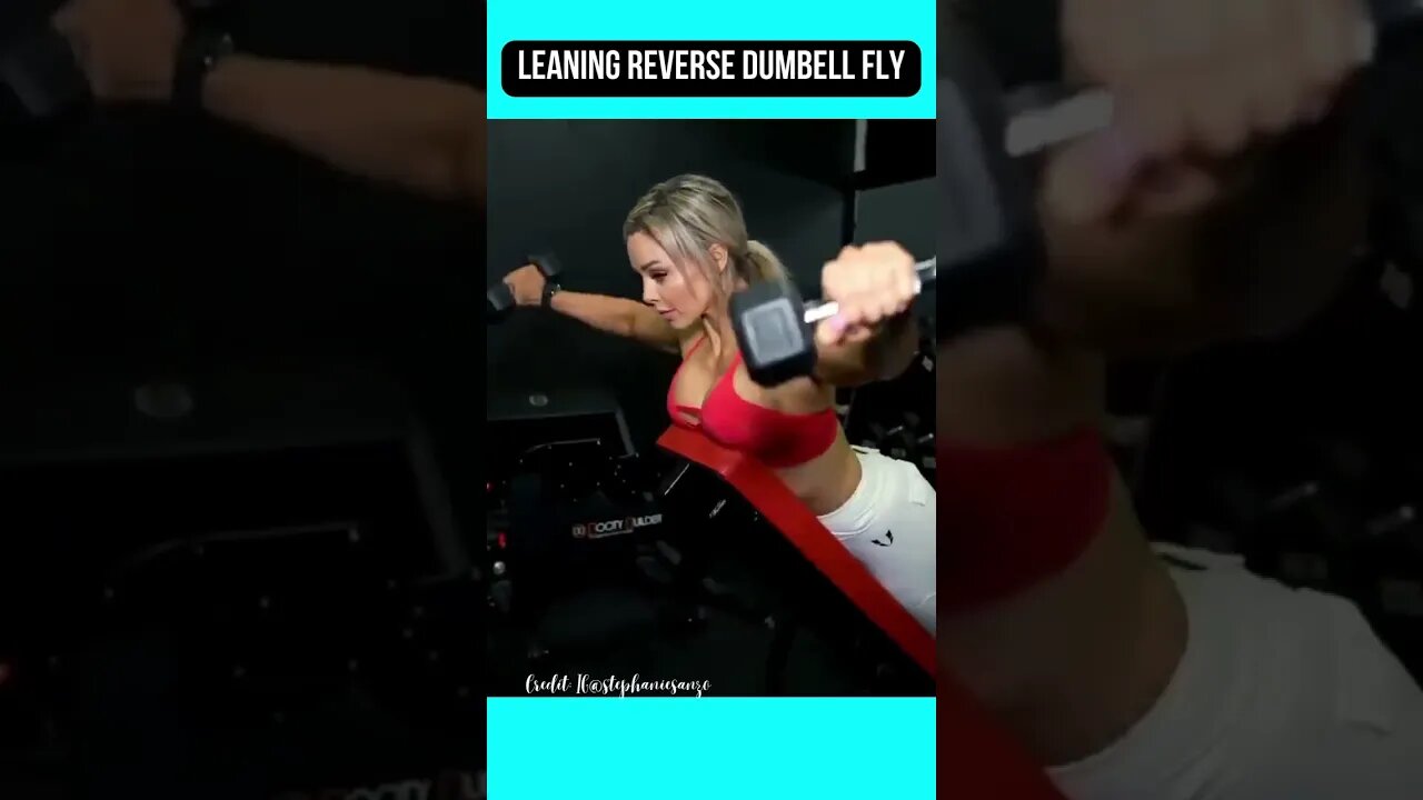 Leaning Reverse Dumbell Fly