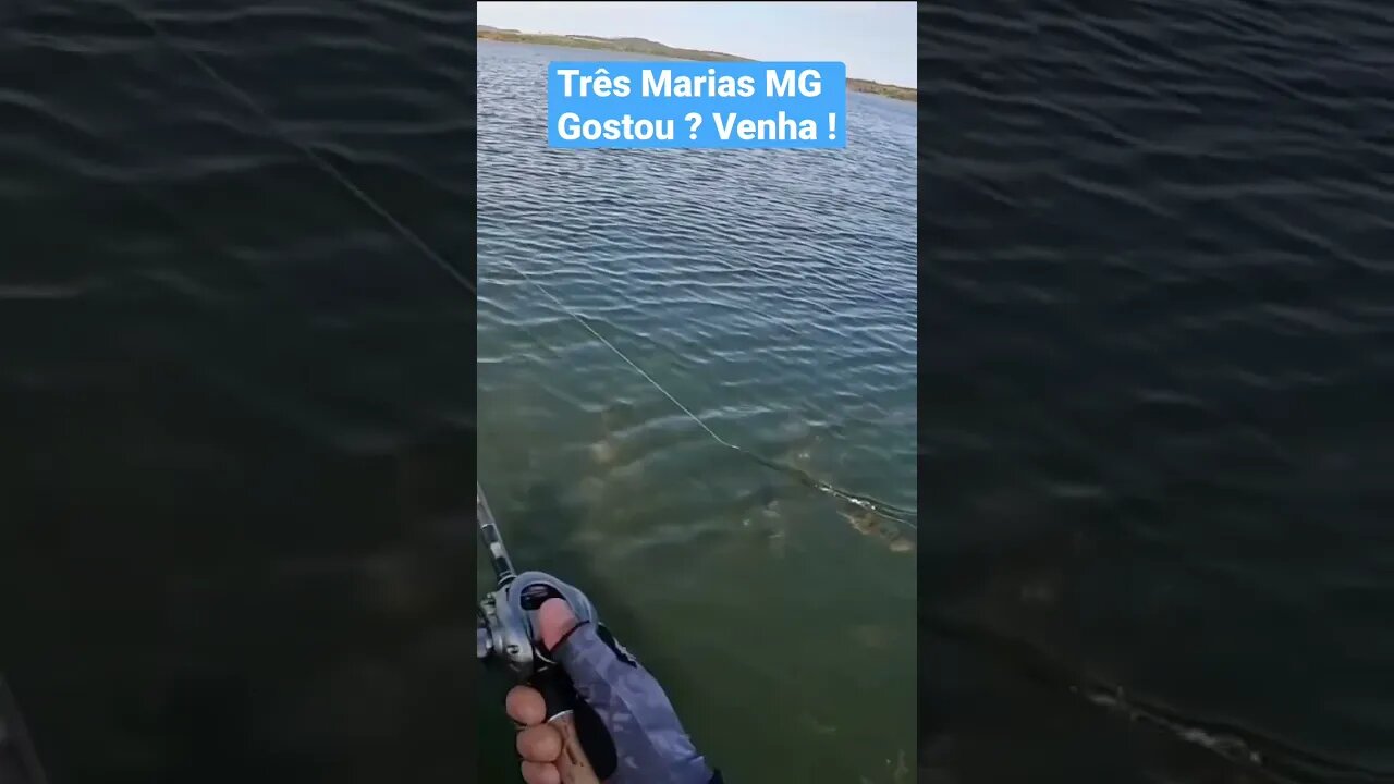 Pesca tucunaré Três Marias MG #tresmarias #pescaesportiva