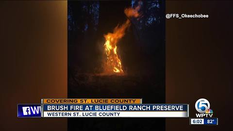 Wildfire closes Bluefield Preserve in St. Lucie County