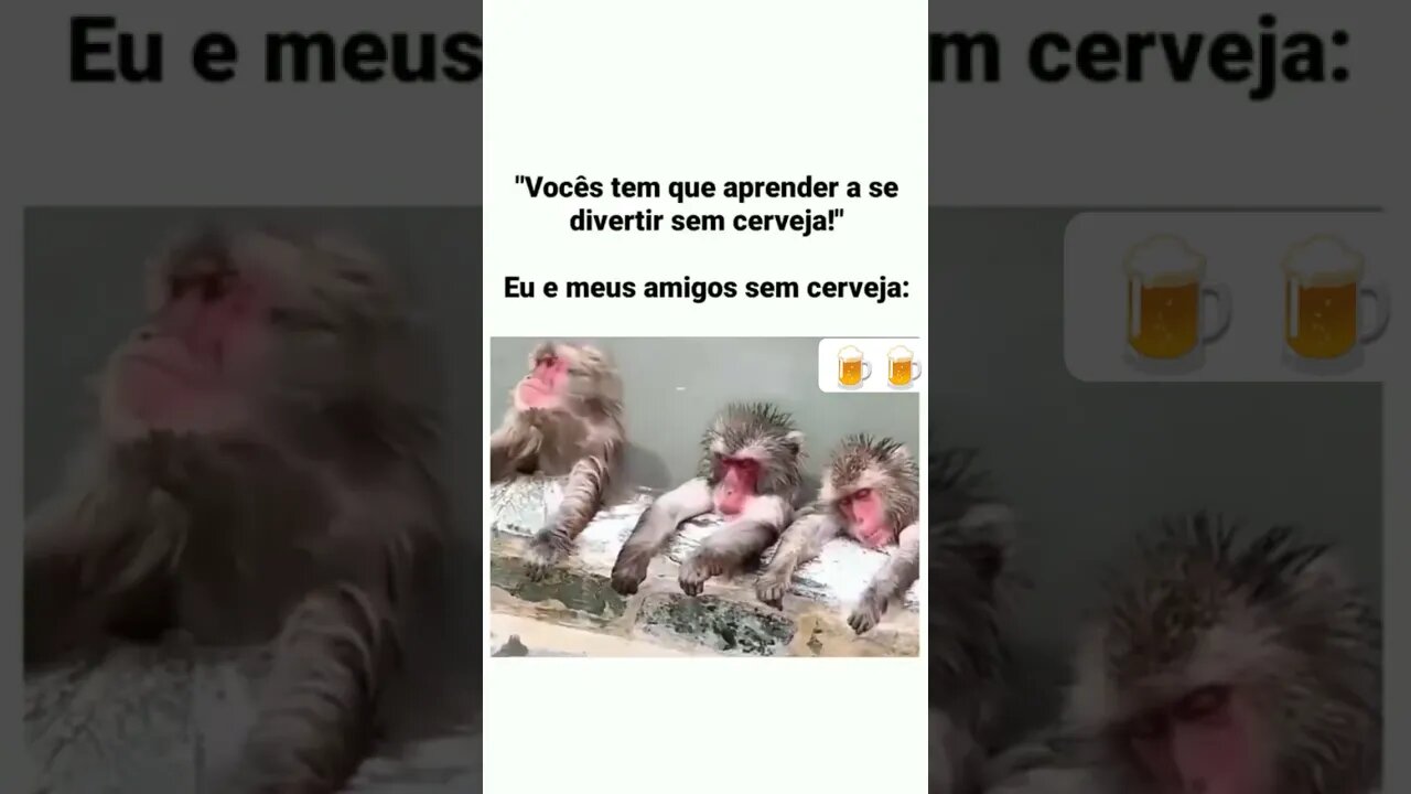 Monkey curtindo #drink #monkey