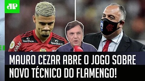 "Quem tá LOUQUINHO para vir ao Flamengo é o..." Mauro Cezar ABRE O JOGO sobre NOVO TÉCNICO!