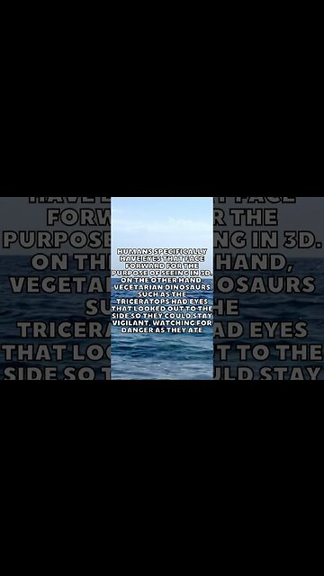 Incredible Random Facts That Will Expand Your Mind! [2023] #shorts #facts #viralshorts #fyp #life