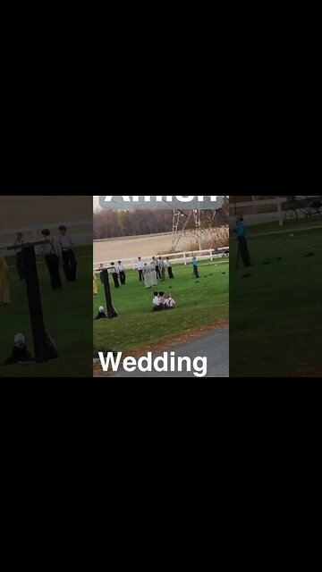 Amish Wedding Reception