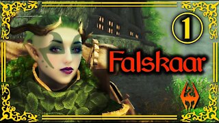 PLAYING DRUID! (Falskaar #1 - Skyrim Mod)