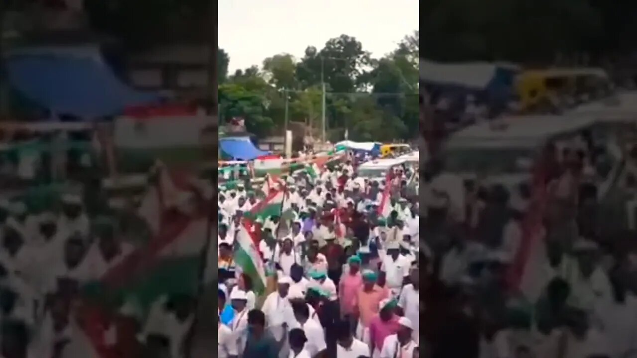 Bharat Jodo Yatra! Rahul Gandhi Yatra #bharatjodoyatra #rahulgandhi #shorts #subscribe #viral