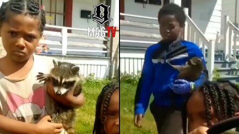 Kids Casually Walk Around With Raccoons As Pets! 😱