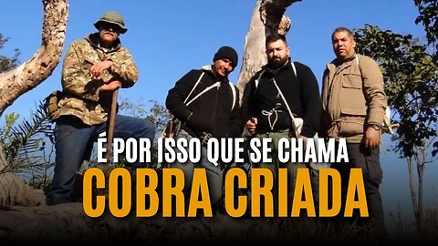 Curso COBRA CRIADA qual é a rotina deste TREINAMENTO para os PROGRAMAS DE SOBREVIVENCIA