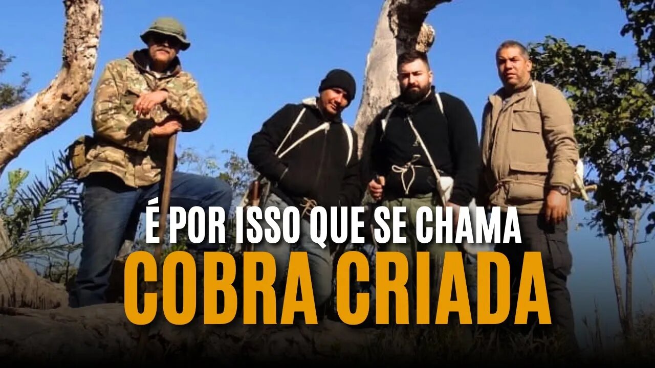 Curso COBRA CRIADA qual é a rotina deste TREINAMENTO para os PROGRAMAS DE SOBREVIVENCIA