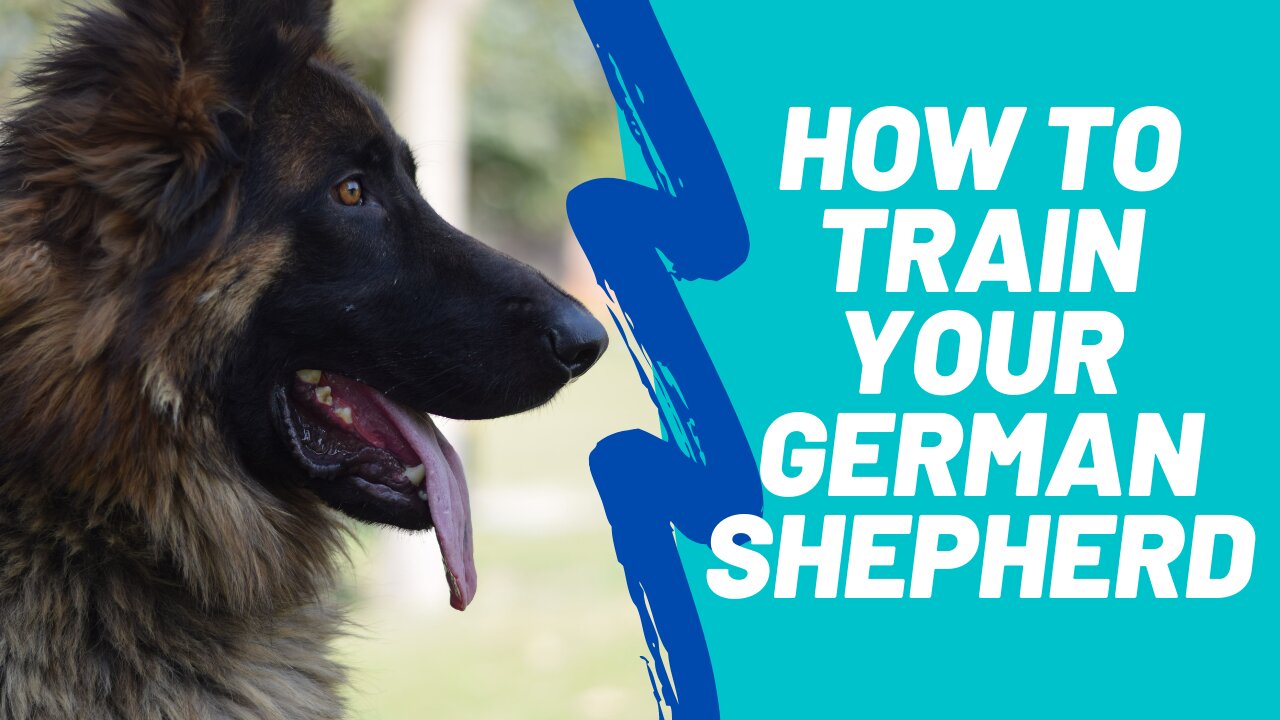 How to make Dog more obedient with a simple trick!!