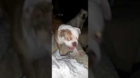 famke en winnie spelen op de bank