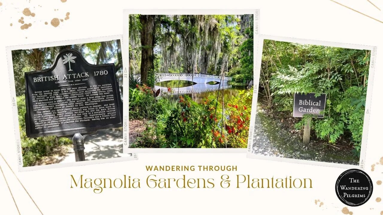 Exploring Magnolia Gardens & Plantation