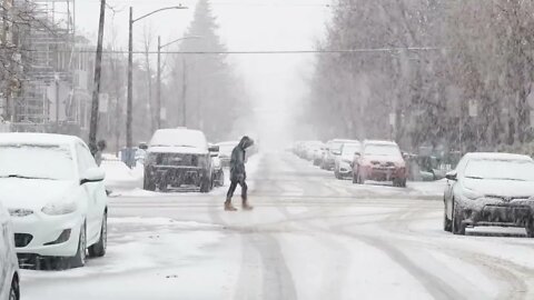 Beautiful Winter Snowfall Stock Footage No Copyright Videos