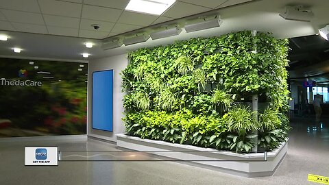 Living wall debuts at Appleton airport