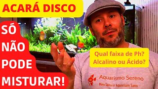🔴 Acará Disco em Ph Alcalino ou Ácido? O Que os "Especialistas" Não Falam!