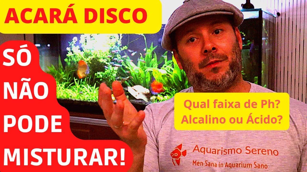 🔴 Acará Disco em Ph Alcalino ou Ácido? O Que os "Especialistas" Não Falam!