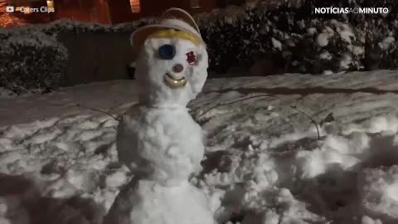 Cães protegem a casa de uma grande ameaça: um boneco de neve!