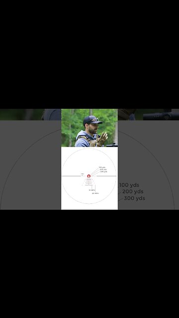 Reticle In the Accufire 1-6 LPVO