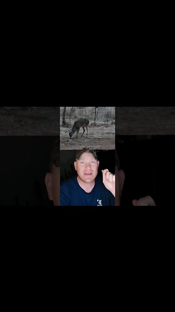 Central Nervous System Shots On Whitetail With Different Calibers #shorts