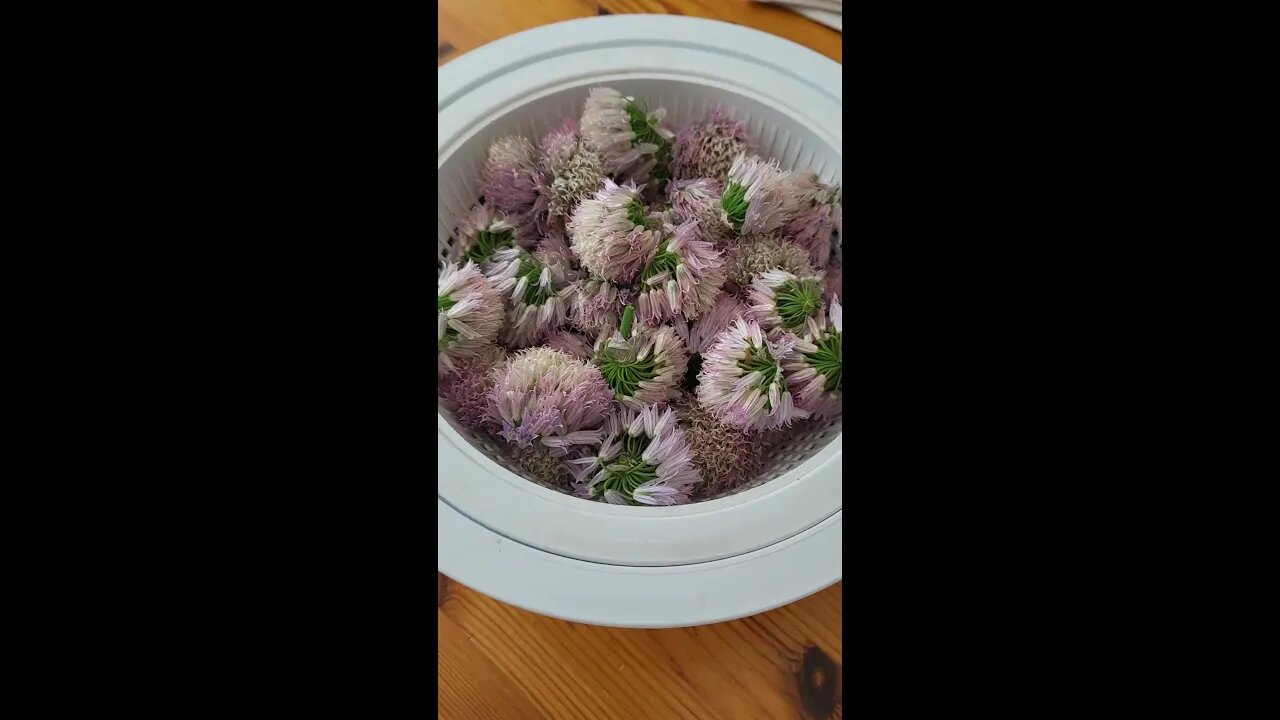 Beautiful Chive Flower Pesto | #chives #pesto