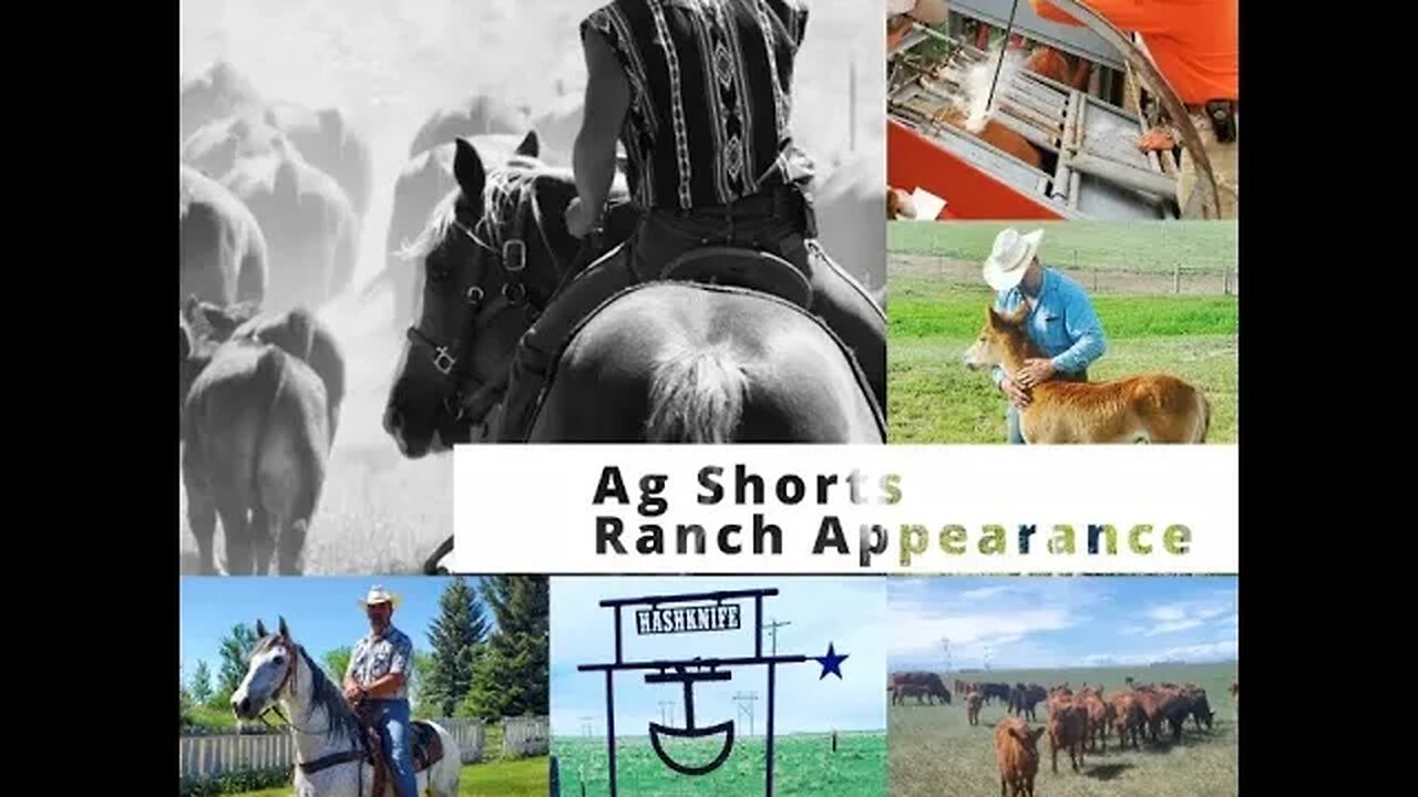 Ranch Appearance | Ranch Attire - Ag Shorts