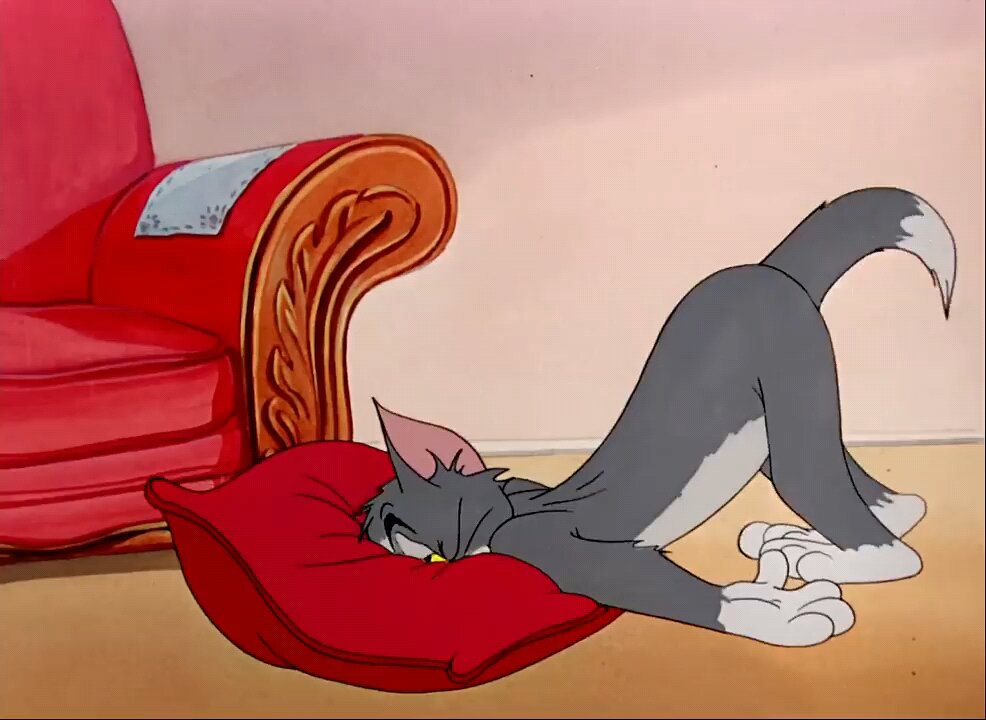 Tom and jerry the invisible mouse