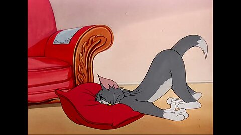 Tom and jerry the invisible mouse