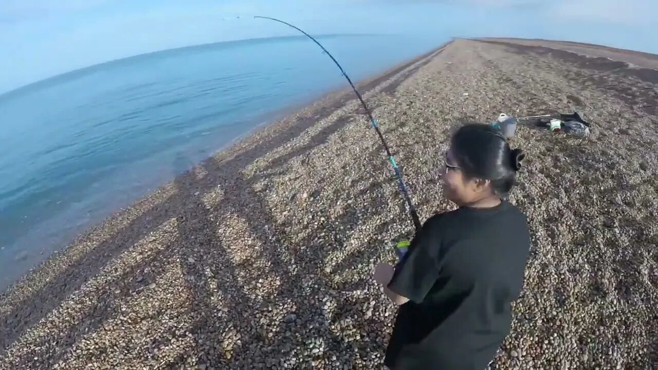 Mackerel Mayhem Montage - Mackerel Fishing At Chesil Beach-3