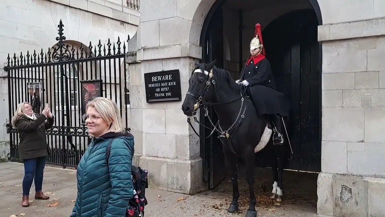 Horse stops tourist from touching the Reins #horseguardsparade