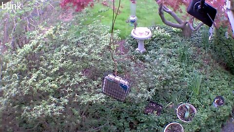 1_WEST_FLOODLIGHT_VIDEO_CAM_2023-04-07T14_44_31-0400.mp4