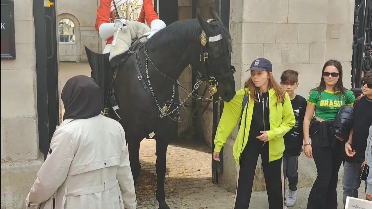 She looks shocked when horse bites her on the arm #horseguardsparade