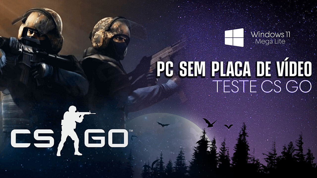 Test Cs Go on Windows 11 Mega Lite - NO VIDEO CARD