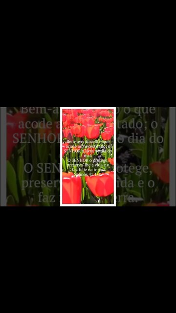 VERSÍCULO DO DIA 14/10/2022.#shorts