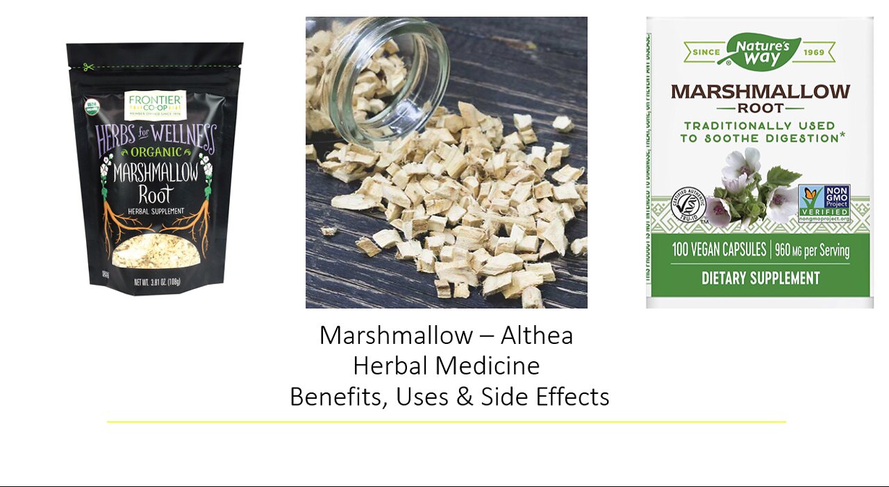 Marshmallow Root - Herbal Medicine - Benefits, Uses & Side Effects