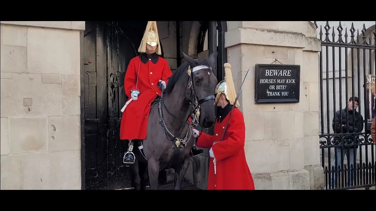 Foot guard fixes it #horseguardsparade