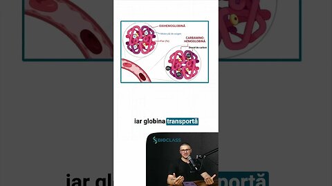 Hemoglobina