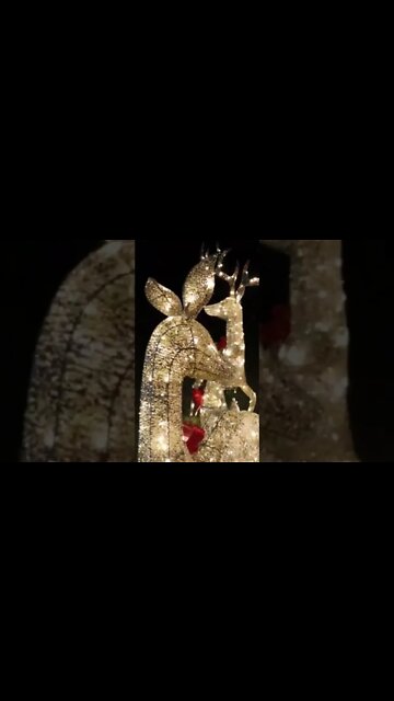 Sam's club Christmas deer outdoor lighting decorations #christmas