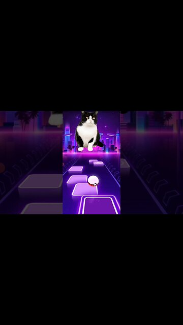 Cat singing - Bloody Mary #shorts #music #cat